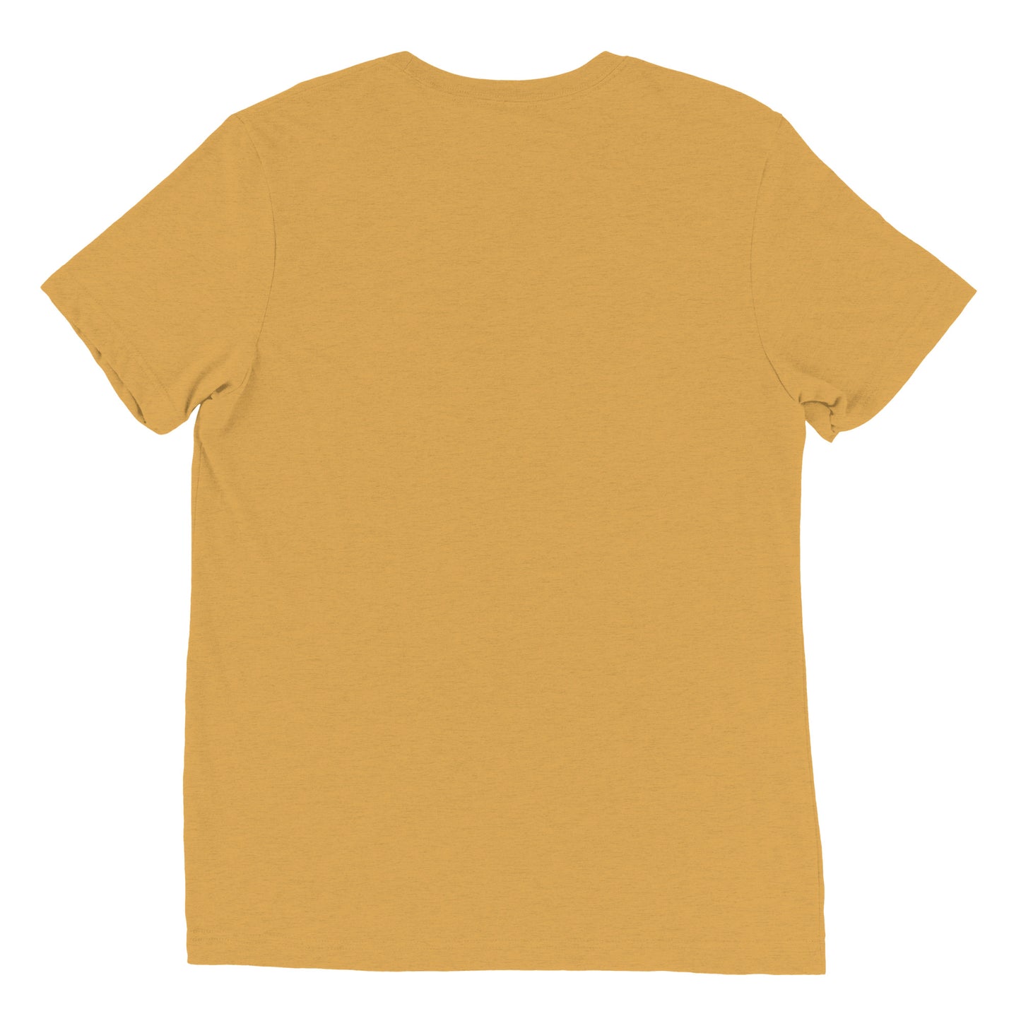First Rodeo t-shirt