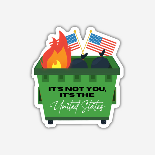 It's not You Vinyl Sticker